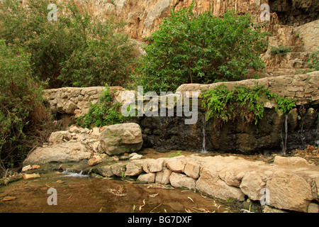 Judean desert, Ein Mabua (Ein Fawar) in Wadi Qelt Stock Photo