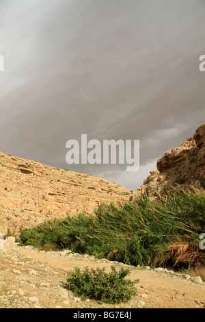 Judean desert, Ein Mabua (Ein Fawar) in Wadi Qelt Stock Photo