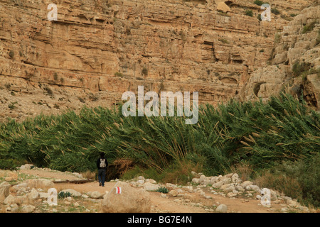 Judean desert, Ein Mabua (Ein Fawar) in Wadi Qelt Stock Photo