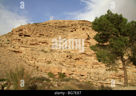 Judean desert, Ein Mabua (Ein Fawar) in Wadi Qelt Stock Photo