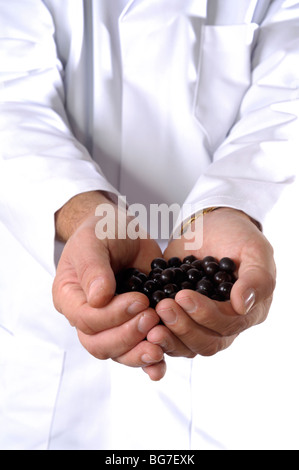 Acai fruit in the cupped hands of a nutritionist wearing a white lab coat Stock Photo