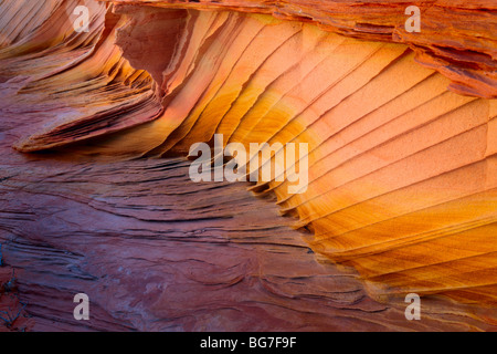 Fantastic colors and shapes in sandstone detail in Vermilion Cliffs National Monument, Arizona Stock Photo