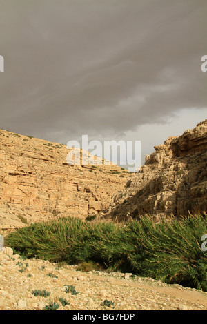 Judean desert, Ein Mabua (Ein Fawar) in Wadi Qelt Stock Photo