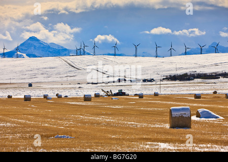 Hay bales covered in snow in Cowley backdropped by snow covered mountains and windmills in Southern Alberta, Canada. Stock Photo