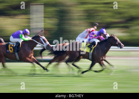 Horse racers at Arlington Park racetrack, Illinois Stock Photo