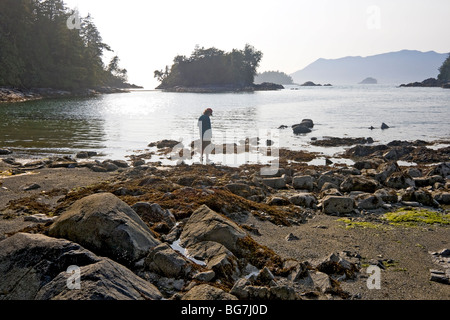 Woman looks at sea stars and anemones in low tide pools on Willis Island in the Broken Group Islands, Canada Stock Photo