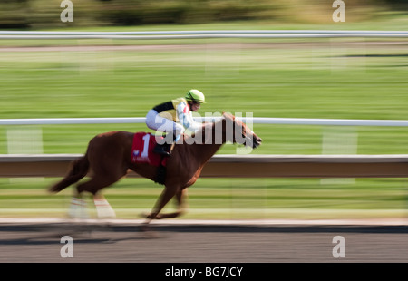 Horse racer at Arlington Park racetrack, Illinois Stock Photo