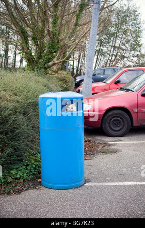 feral cat in a waste bin Stock Photo
