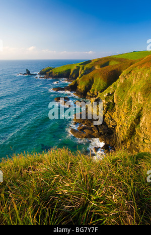 Lizard Peninsula, Cornwall, England, UK Stock Photo