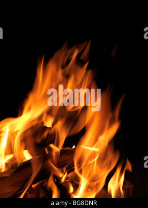 Closeup of burning firewood on black background Stock Photo