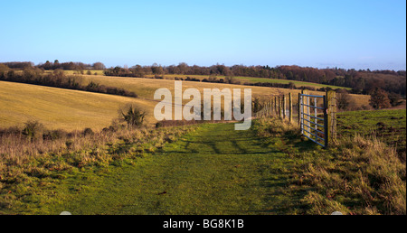 Chiltern fields Oxfordshire England UK Stock Photo