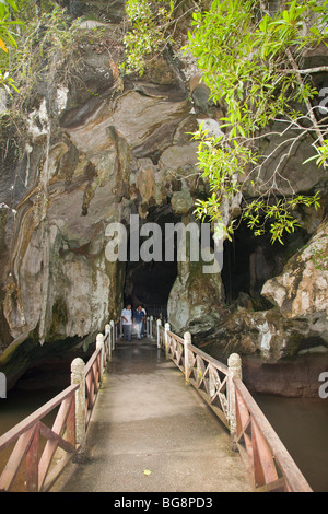 Langkawi Gua Kelawar, bat cave walkway entrance, Mangrove forest reserve, Pulau Langkawi Geopark, Malaysia Stock Photo