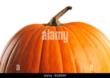 Pumpkin close up isolated on a white background Stock Photo