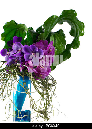 Purple orchid bouquet in vase on white Stock Photo