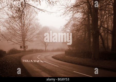 Foggy Morning in Swithland, Leicestershire, UK Stock Photo