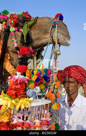 Man with his camel. Bikaner Camel Festival. Rajasthan. India Stock Photo