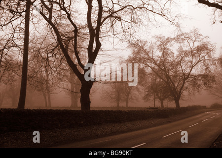 Foggy Morning in Swithland, Leicestershire, UK Stock Photo