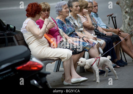 CURIOUS DOG, SENIORS, FRIENDS, TOGETHER: A curious dog sniffs ankles as seniors take it easy during siesta in Raval Barcelona Catalonia Spain Stock Photo