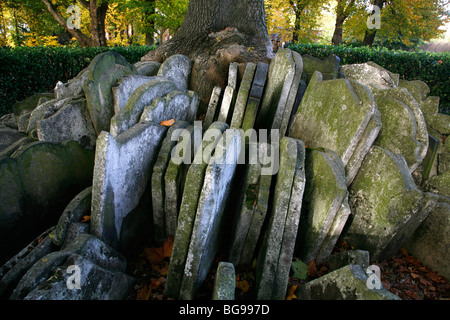 Graves packed around the Hardy Tree in Old St Pancras churchyard, St Pancras, London, UK Stock Photo