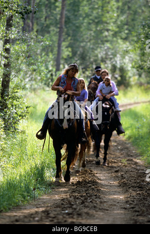 Family of horse riders on a wooded trail Stock Photo - Alamy