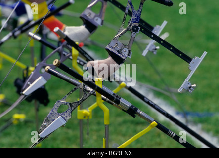 Close up of archery bows Stock Photo