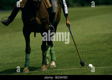 Polo player on his horse Stock Photo