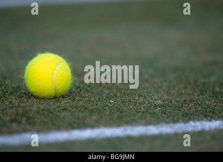Tennis ball on a grass court Stock Photo