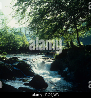 Waterfall in a mountain stream in Snowdonia, North Wales Stock Photo