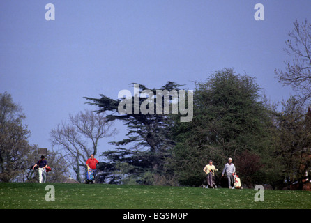 Golfers wheeling and carrying their golf bags across a golf course Stock Photo