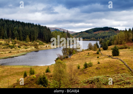 Loch Drunkie at Achray Forest area near Aberfoyle looking over to the Menteith Hills, The Trossachs Scotland Stock Photo