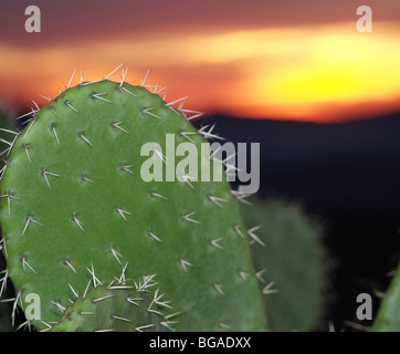 Sun set with colourful colorful sky Stock Photo