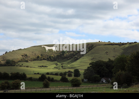 Westbury White Horse, Westbury, Wiltshire, England, UK Stock Photo