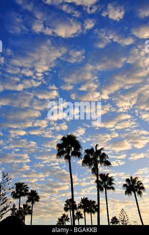 Clouds in sky at sunset, Playa del Ingles, San Bartolome de Tirajana Municipality, Gran Canaria, Canary Islands, Spain Stock Photo