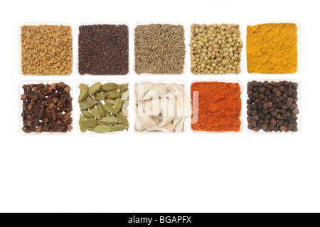 Spices from India Stock Photo
