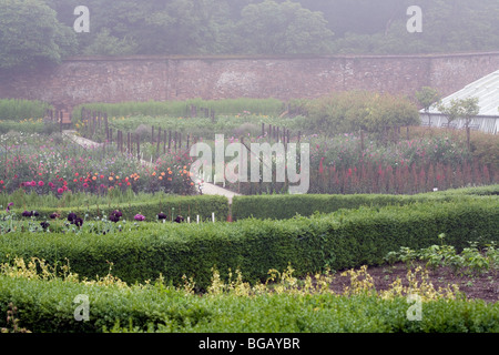 Lost Garden of Heligan, Cornwall, England, UK Stock Photo