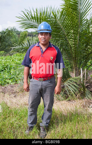 Portrait of a Malay palm plantation worker in field. The Sindora Palm Oil Plantation. Stock Photo