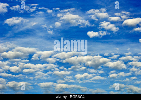 White Cumulus Clouds in a Blue Sky Stock Photo