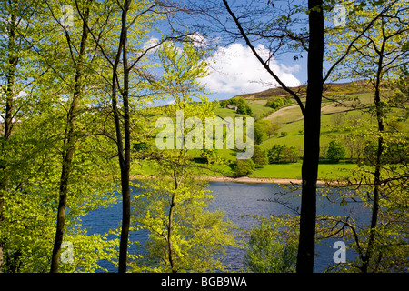 View through Woodland across Ladybower Reservoir on a sunny spring day in the Upper Derwent Valley in Derbyshire,England, Stock Photo