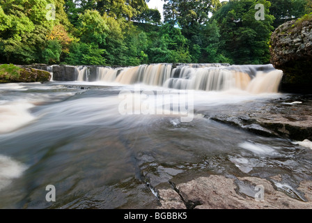 Aysgarth Falls on the River Ure in Wensleydale Yorkshire dales Stock Photo