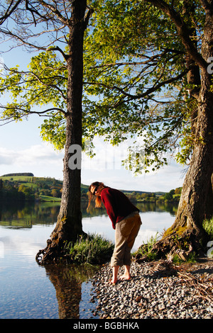 Woman paddling in Ullswater near tent on Waterside farm campsite near Pooley Bridge in the Lake District Stock Photo