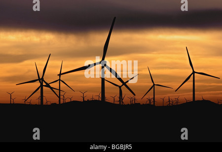 Wind turbines against sunset Stock Photo