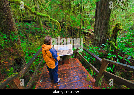 Woman reading an interpretive sign along the Rainforest Trail in the coastal rainforest of Pacific Rim National Park, Long Beach Stock Photo