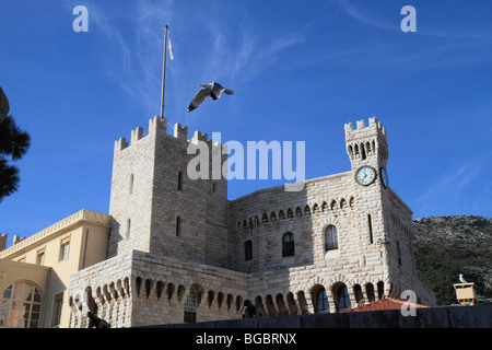 Prince's Palace with gull, Principality of Monaco, Cote d'Azur, Europe Stock Photo