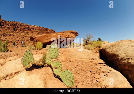 Mountain bikers, Moab, Utah Stock Photo - Alamy