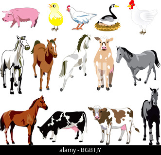 Vector Ilustration of 14 Farm Animals birds, and mammals. Stock Photo