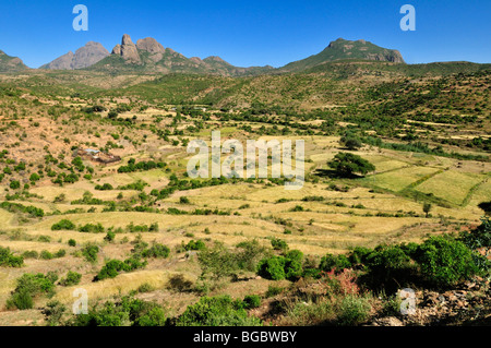 Terraced fields in the Adua, Adwa Mountains in Tigray, Ethiopia, Africa Stock Photo