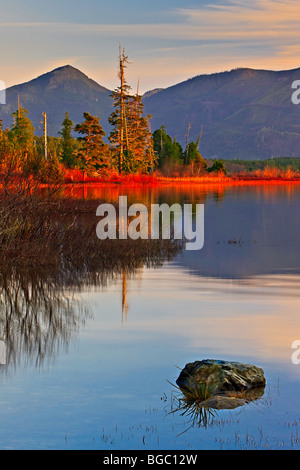 Late afternoon scenery of Kennedy Lake a transition area of the Clayoquot Sound UNESCO Biosphere Reserve, Vancouver Island, Brit Stock Photo