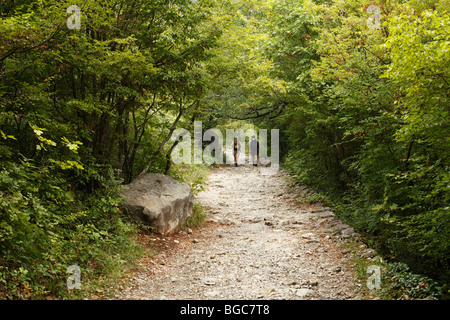 Hikers in the forest, Velika Paklenica Canyon, Paklenica National Park, Velebit Mountains, Dalmatia, Croatia, Europe Stock Photo