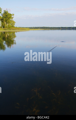 Large mouth bass fishing angler hi-res stock photography and images - Page  3 - Alamy