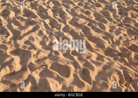 Close-up of Star sand, Taketomi Island National Park, Ishigaki, Yaeyama ...